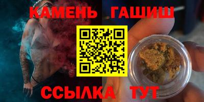 стаф Гай