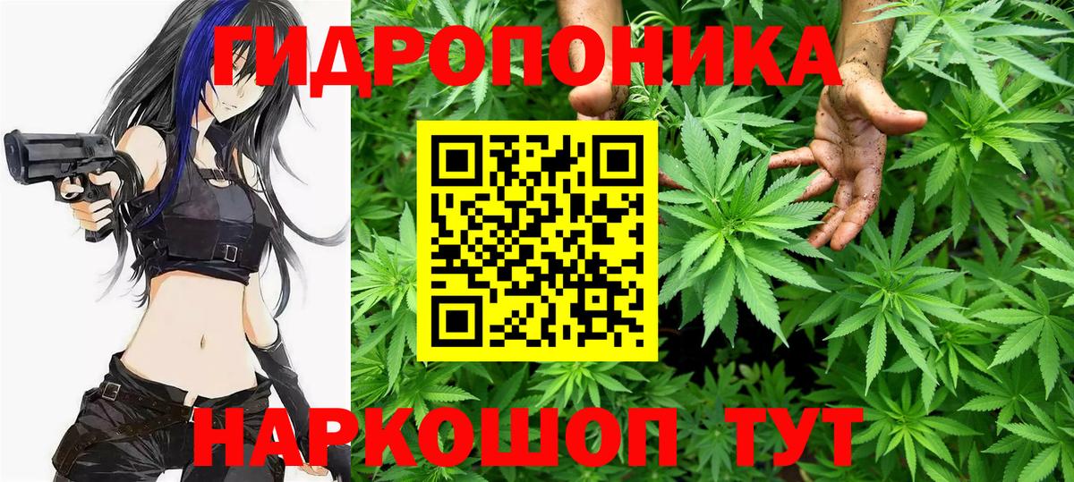 Канабис White Widow  Конопля ГИДРОПОН  Вход с VPN  Бошки марихуана план  Белореченск 